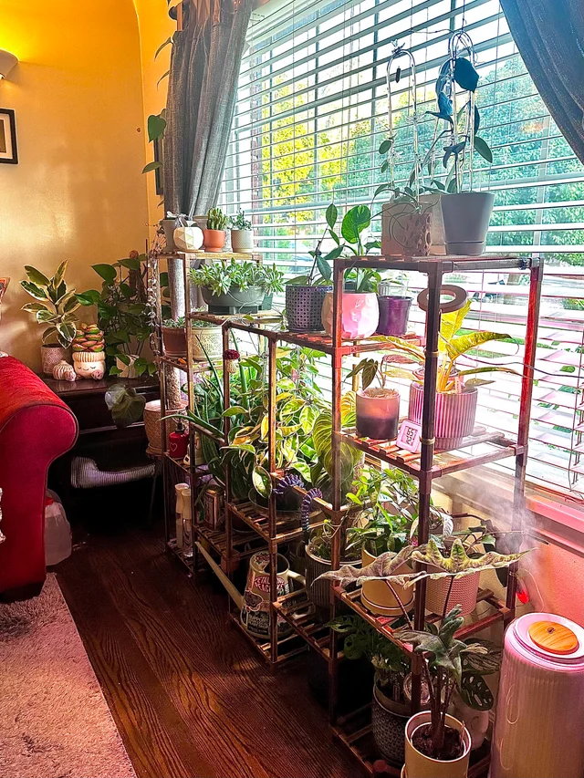 Menikmati Kesenangan Sederhana dalam Setiap Momen